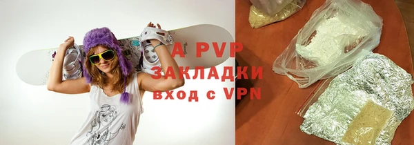 ПСИЛОЦИБИНОВЫЕ ГРИБЫ Вязьма