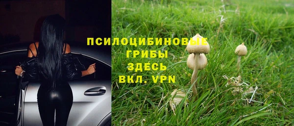 ПСИЛОЦИБИНОВЫЕ ГРИБЫ Вязьма