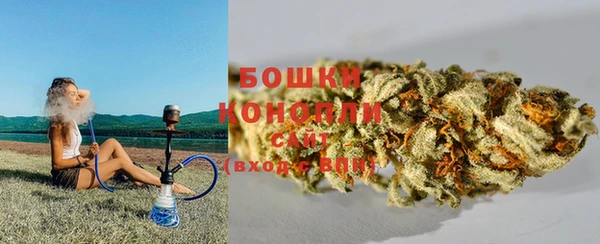 сатива Гусев