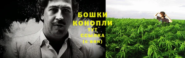 героин Горняк